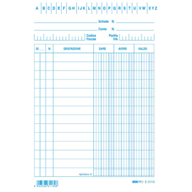 Schede dare/avere/saldo -  15 x 10