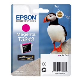 Epson - Cartuccia ink - Magenta - T3243 - C13T32434010 - 14ml