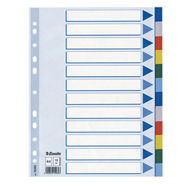 Separatore - 12 tasti colorati - PPL - A4 - multicolore - Esselte